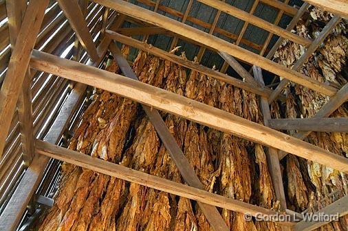 Tobacco Curing_24781.jpg - Interior of an old tobacco barn, photographed along the Natchez Trace Parkway in Tennessee, USA.